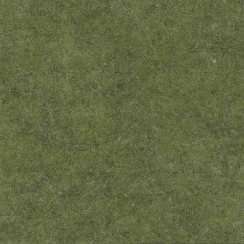 Grass 
