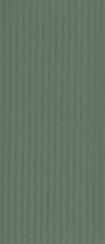 Kelp